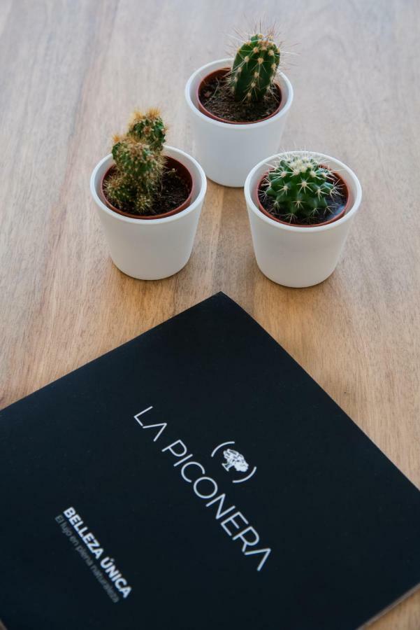 Petit Luxe Tobella Esquerra Apartment Terrassa Bagian luar foto